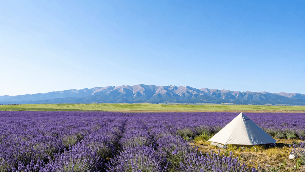 【北海道】広大な自然を満喫するキャンプ・車中泊ガイド